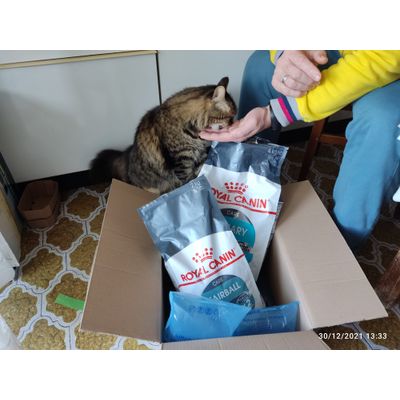 Royal Canin Urinary Care