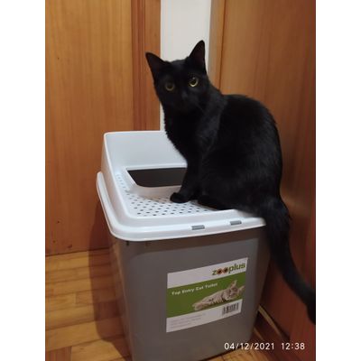 Mia e a sua wc nova