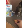 Test Milkies