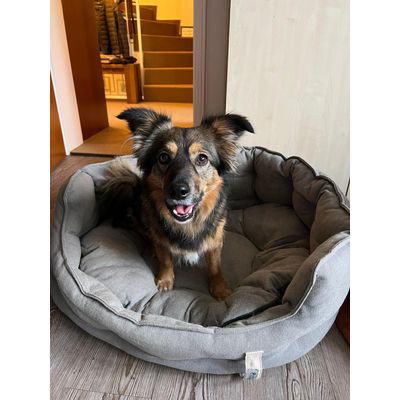 Happy Frieda