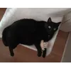 Tiza