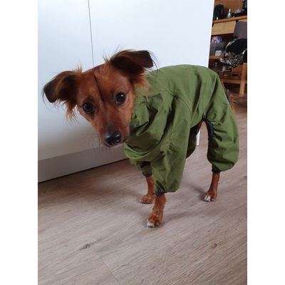 Der Regen kann kommen