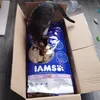 Nyamnyam