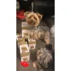 Sachet royal canin 