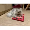 Smudlinky kalendar