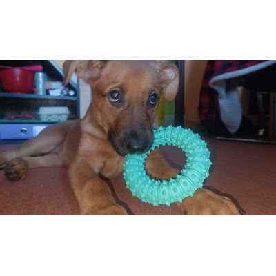 Maggie