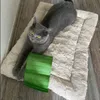Yoshi