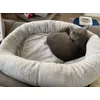 Katerchen