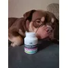 My dog