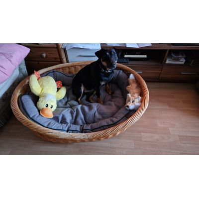 Mia mit Ente