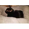 Deni new warm bed