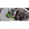 Mia met broccoli
