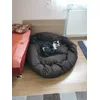 M-Size Hund 