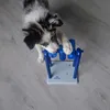 Trixie Dog Activity Turn Around
