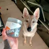 Wolf of Wilderness Raw