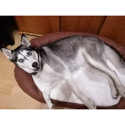 Diana jest zadowolona