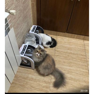 Comederos microchip