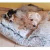 coussin douillet