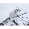 Charlies first snow