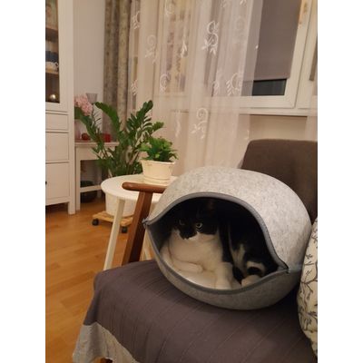 Moja