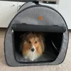 Sheltie