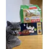 Felix food