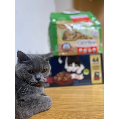Felix food