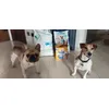 Taty e Kiki 