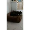 Letto per cani Strong 