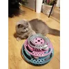 Cleo i nowa zabawka 