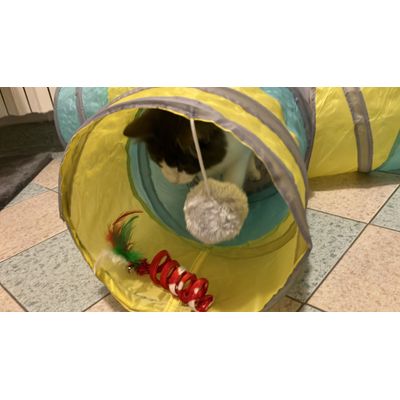 Tunnel per Sissi