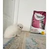 Lunita