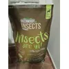 Insects