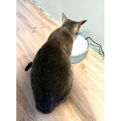 Trixie fontanna ceramiczna