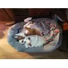 Lazy bed - 115x70x30 