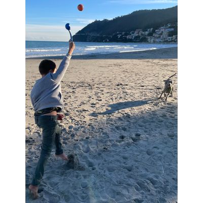 Necessario per un Weim