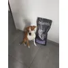 Il mio super amico