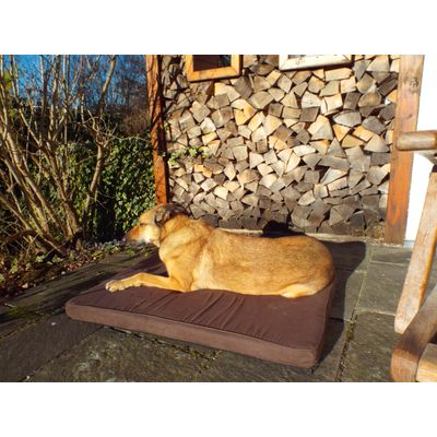 Beim Sonnenbad