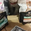 Karma purina pro plan