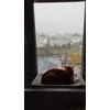 Enjoying the view