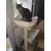 Dexi