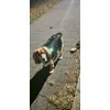 Nocny spacer