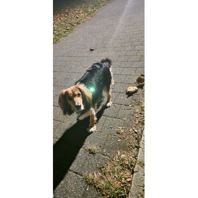 Nocny spacer