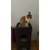 Samy liebt ihn 