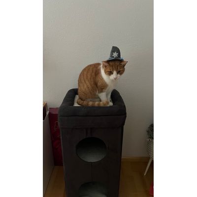 Samy liebt ihn