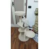 Minou 