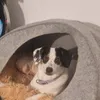 Mia liebt ihr Hunde Wigwam