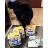 Rocco is dol op Dentastix 
