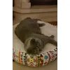 Zzzz