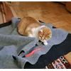 Moritz und sein Lieblingsspielzeug
